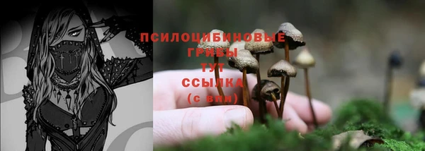 jwh Алексеевка