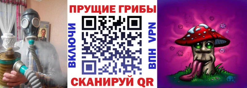 Псилоцибиновые грибы Psilocybe  купить наркотик  KRAKEN ONION  Льгов 